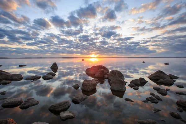 Fragile bellezza del momento dell'alba — Foto Stock