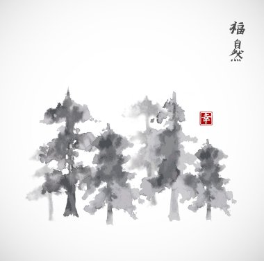 Çam ağaçları orman siste