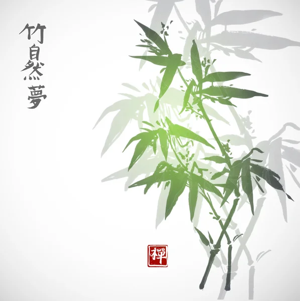 Kort med bambu på vit — Stock vektor