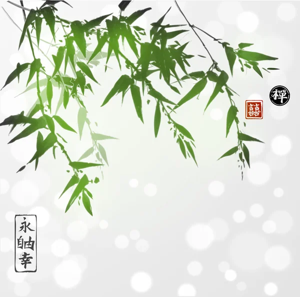 Groene bamboe handgetekende — Stockvector