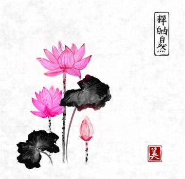 Lotus çiçekleri elle mürekkeple çizilmiş