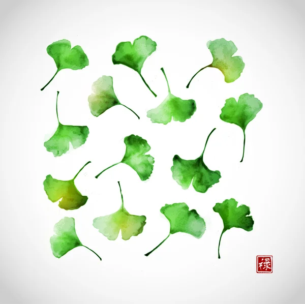 Свежие зелёные листья гинкго — стоковый вектор