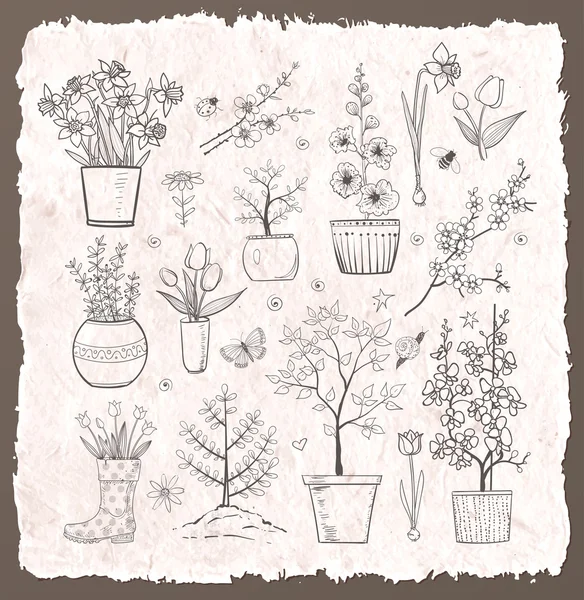 Schizzo fiori da giardino — Vettoriale Stock