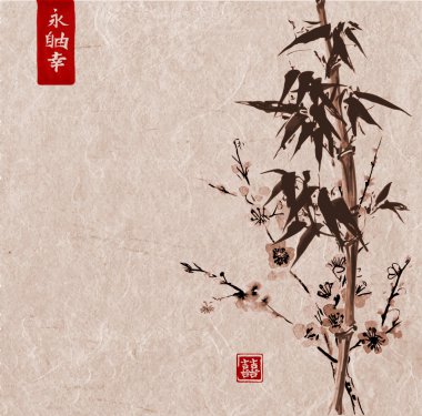 Bambu ve arka planda sakura