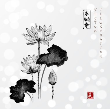 Nilüfer çiçekleri el çizilmiş