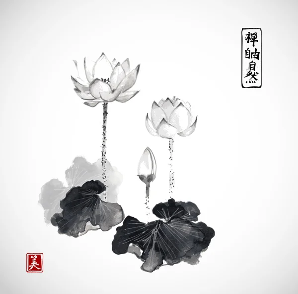 Fleurs de lotus sur fond . — Image vectorielle