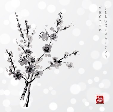 Doğu kiraz dalında çiçeği 