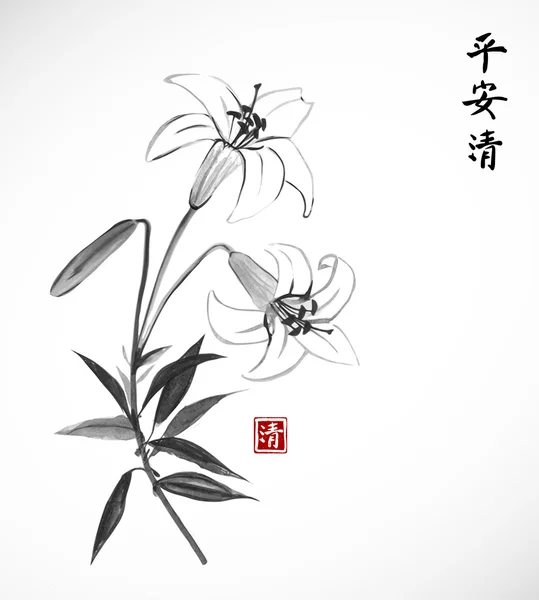 在白色背景上的百合鲜花 — 图库矢量图片