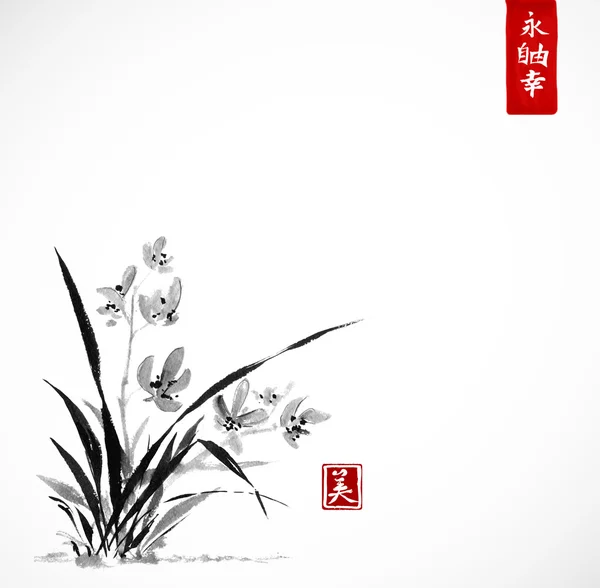 野生兰花花卉 — 图库矢量图片