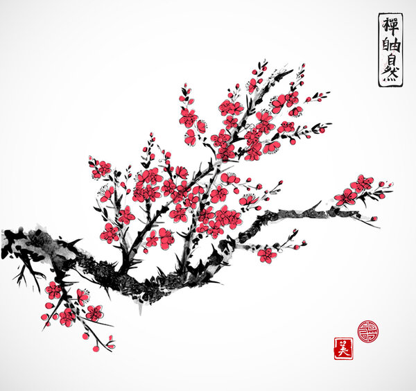 Oriental sakura cherry tree 