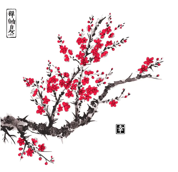 Oosterse Sakura kersenboom — Stockvector