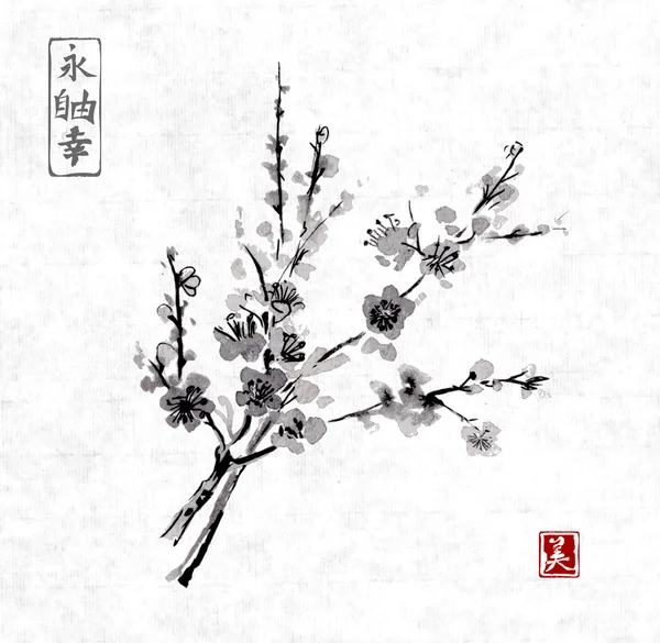 Rama de cereza oriental — Archivo Imágenes Vectoriales
