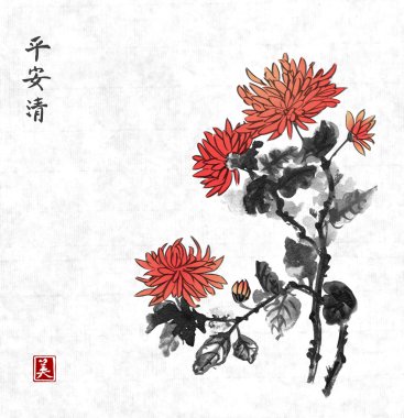 Geleneksel Krizantem çiçekleri