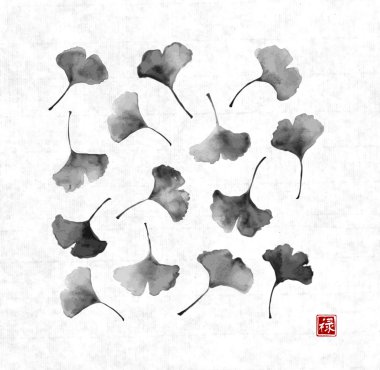 Gingko biloba yaprakları