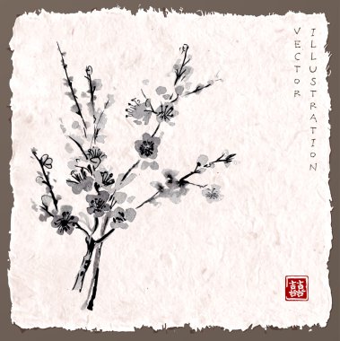 Cherry blossom dalında