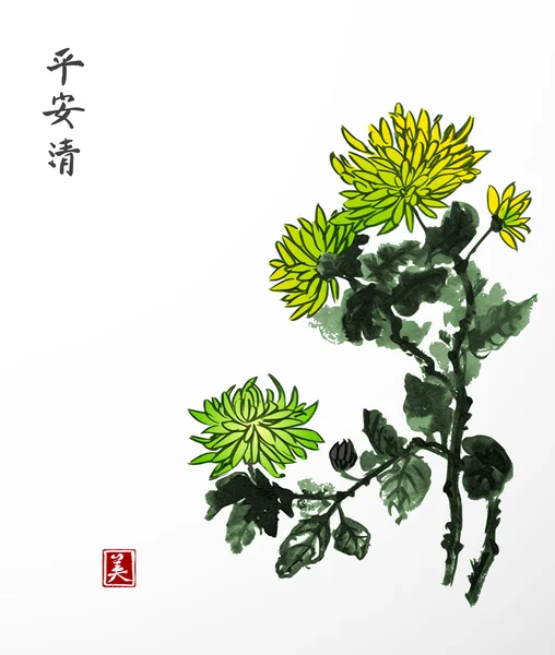 Flores tradicionales de crisantemo — Vector de stock