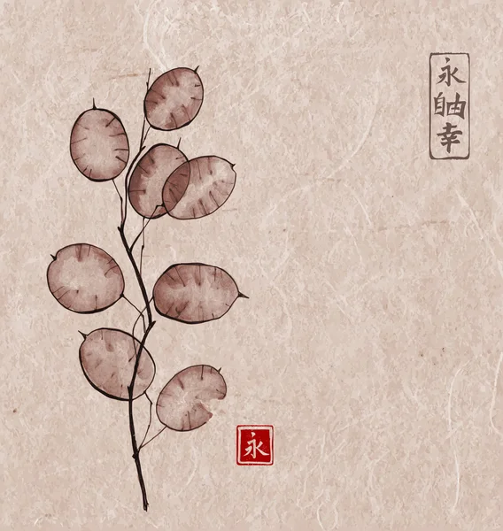 银元植物 — 图库矢量图片