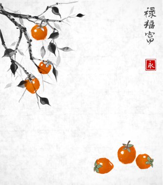 Portakal meyveli hurme erik dalları 