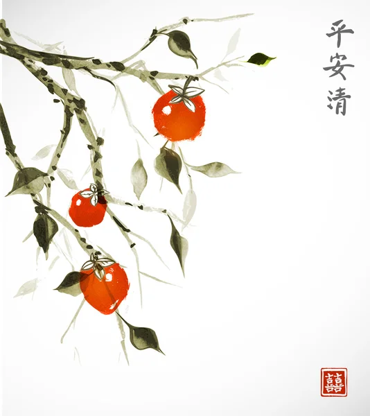 Namorar ramos de ameixa com frutas laranja —  Vetores de Stock