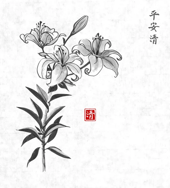 White lily flowers hand drawn — ストックベクタ