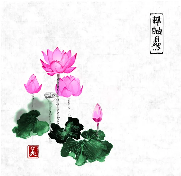 Flores de loto dibujadas a mano — Vector de stock