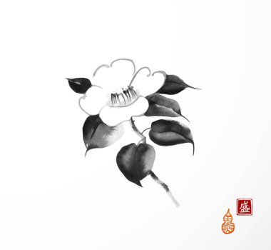 Beyaz arka planda Camelia çiçeği. Geleneksel oryantal mürekkep boyası sumi-e, u-sin, go-hua. Hiyerogliflerin çevirisi - çiçek