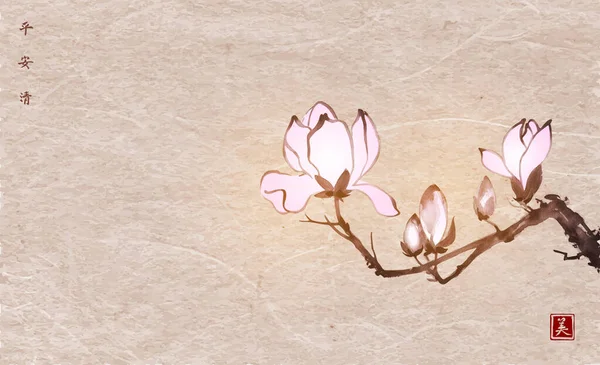 Fleurs Magnolia Roses Sur Fond Papier Vintage Peinture Encre Orientale — Image vectorielle