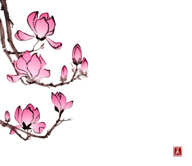 Pink magnolia flowers in oriental style on white background. Traditional oriental ink painting sumi-e, u-sin, go-hua. Translation of hieroglyph - beauty. clipart