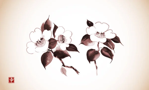 Flores Camelia Estilo Vintage Tinta Oriental Tradicional Pintura Sumi Sin — Vector de stock