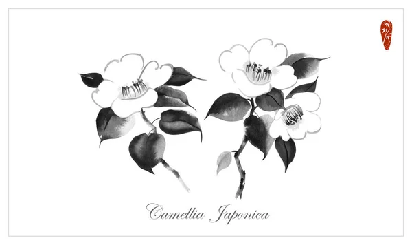 Flores Camelia Blanca Sobre Fondo Blanco Tinta Japonesa Tradicional Lavado — Archivo Imágenes Vectoriales