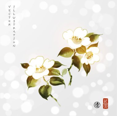 Beyaz arka planda beyaz kamelya çiçekleri. Geleneksel oryantal mürekkep boyası sumi-e, u-sin, go-hua. Hiyeroglifin çevirisi - berraklık.