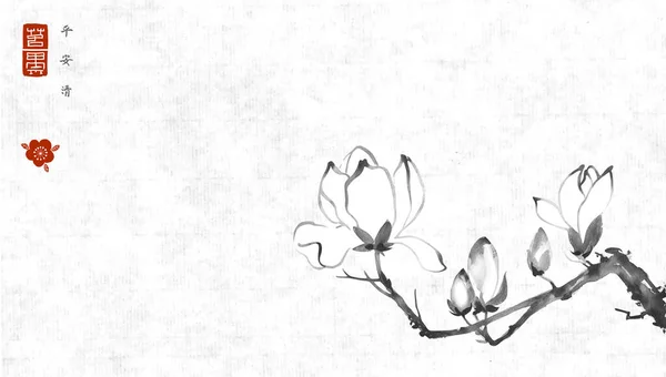 Flores Magnolia Sobre Fondo Papel Arroz Vintage Tinta Oriental Tradicional — Archivo Imágenes Vectoriales