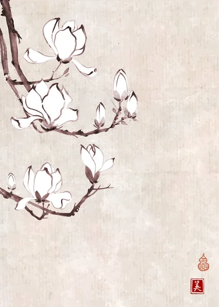 白色的木兰花在复古米纸背景上 传统东方水墨画苏美 象形文字的翻译 加倍好运 — 图库矢量图片