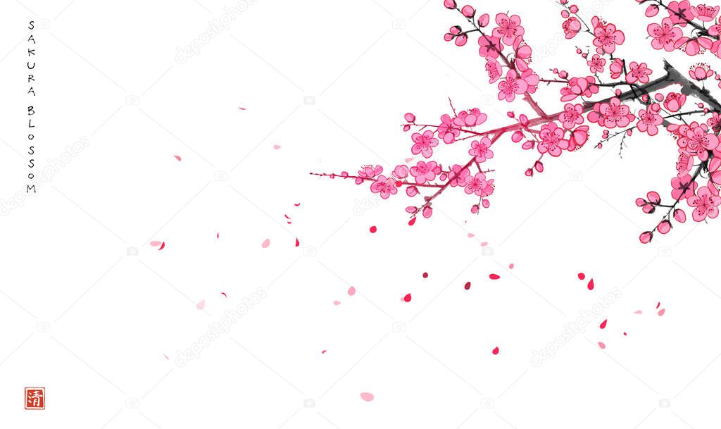 Blossoming sakura branch and falling petals. Traditional oriental ink painting sumi-e, u-sin, go-hua. Hieroglyph - clarity