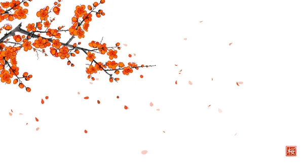 Ramo Sakura Florescente Pétalas Caindo Tinta Oriental Tradicional Pintura Sumi —  Vetores de Stock