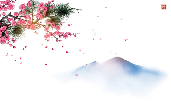 Ramo Pino Albero Sakura Fiore Lamenti Lontani Sfondo Bianco Tradizionale — Vettoriale Stock