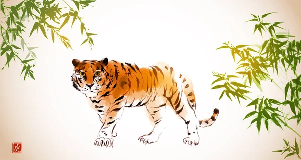 Bamboo Tiger Symbol Chinese New Year 2022 Hand Drawn Ink — Stock Vector