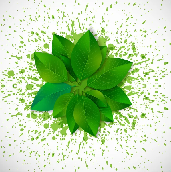 Grono świeżych zielonych liści — Wektor stockowy