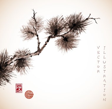 Çam ağacı dalı Japon tarzı