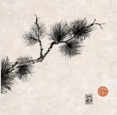 Çam ağacı dalı Japon tarzı