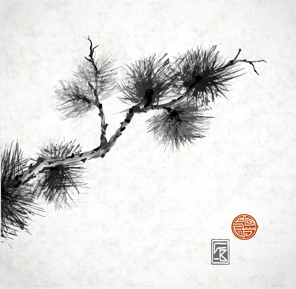 Pine tree branch in Japanese style