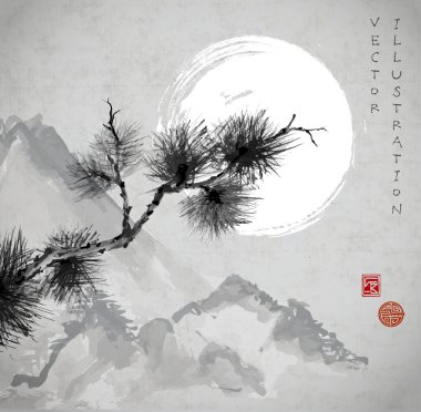 Çam ağacı dalı Japon tarzı