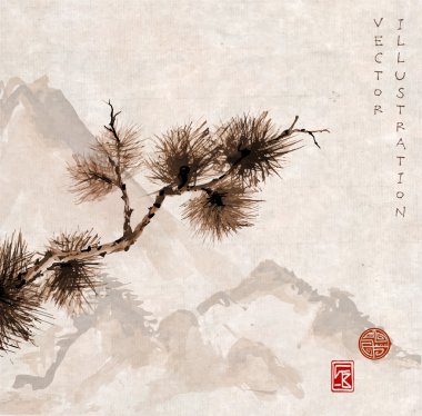 Çam ağacı dalı Japon tarzı