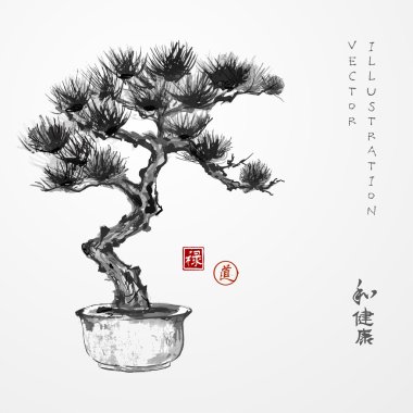 Bonsai pine tree clipart