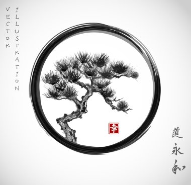 Bonsai çam ağacı