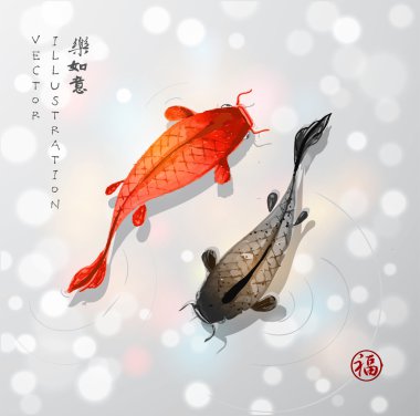 Kırmızı ve siyah koi carps