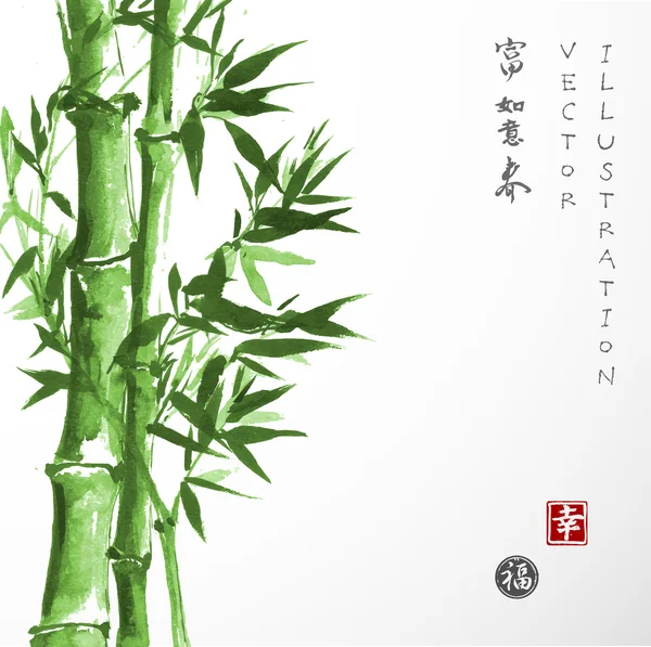 Bambu verde desenhado à mão — Vetor de Stock