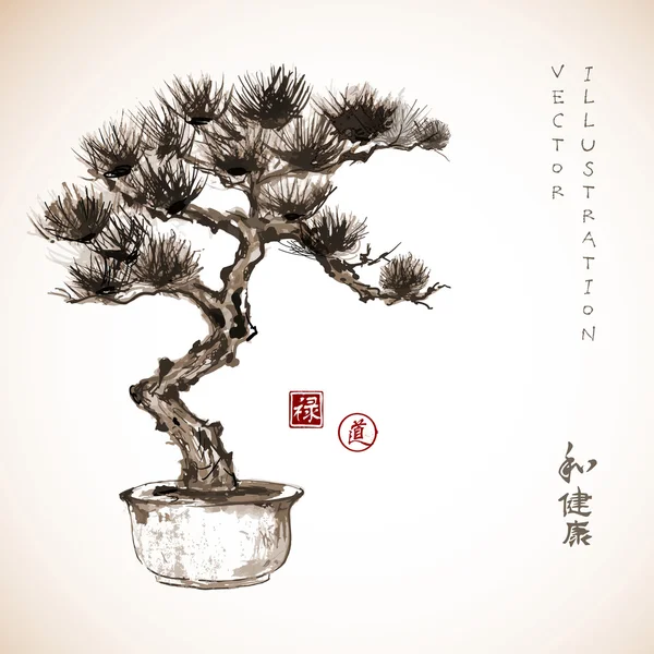 Bonsai pine tree — Stock Vector