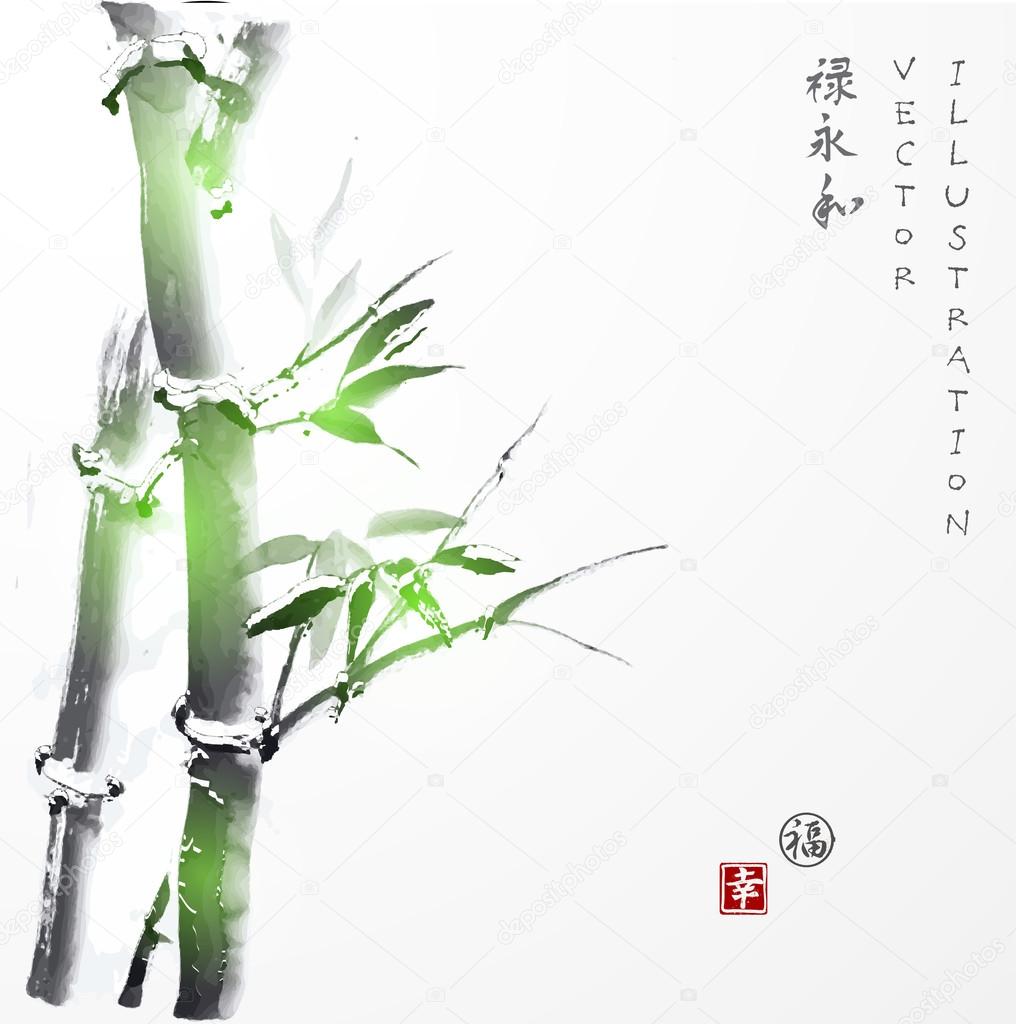 Green bamboo hand drawn