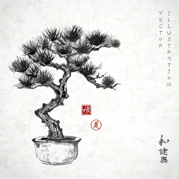 Pino bonsái — Vector de stock